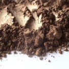 Bondi Bronze